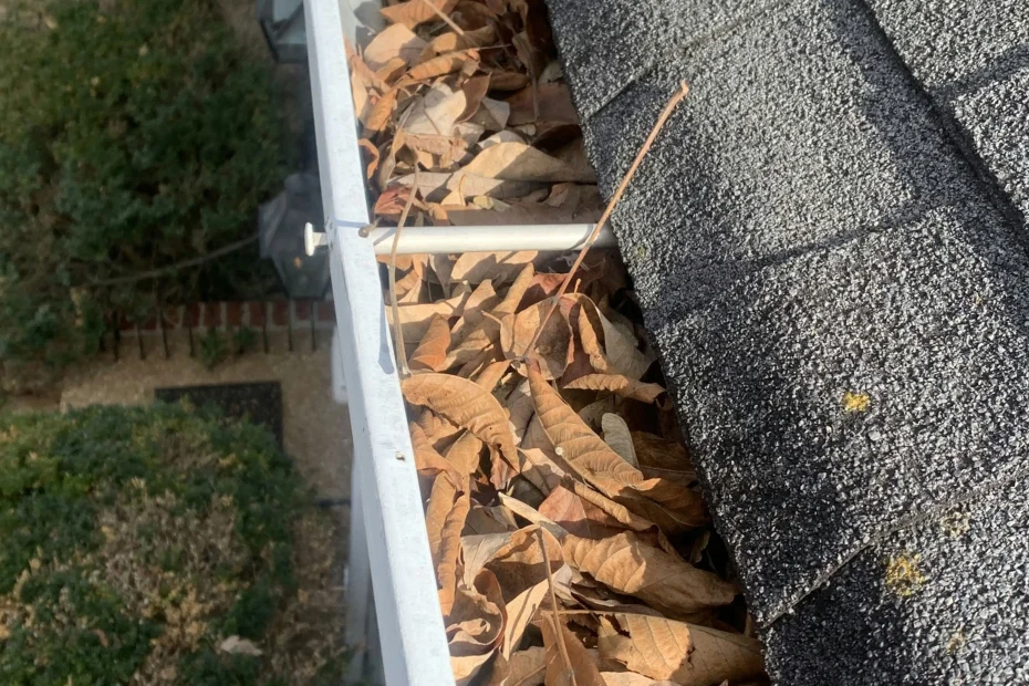 Magee Gutter Cleaning