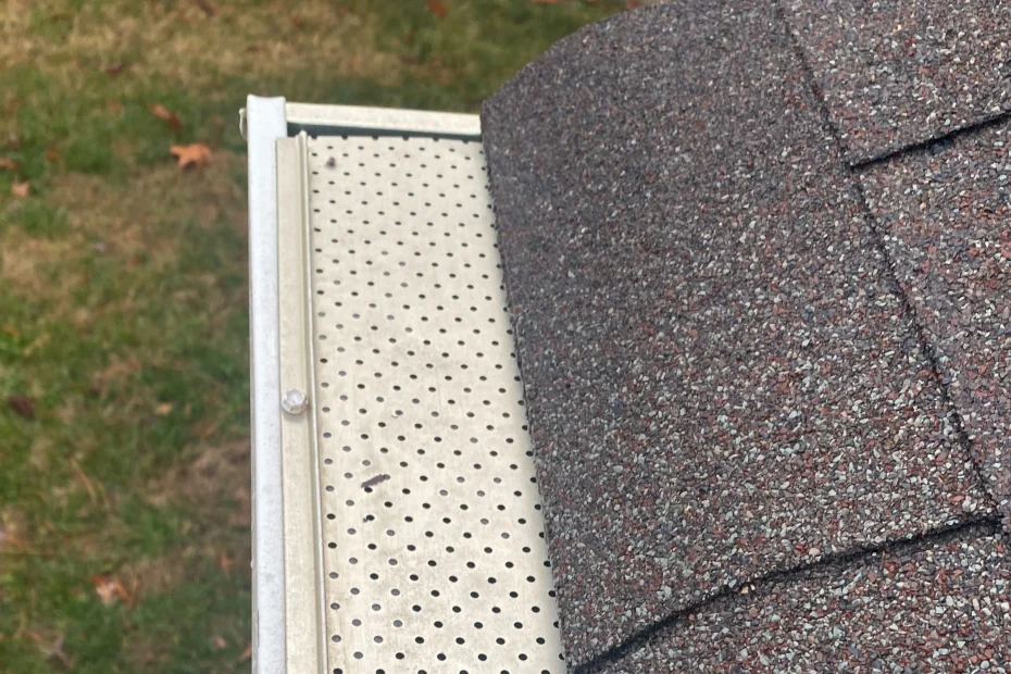 Magee Gutter Cleaning